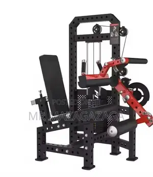 Leg Extensions Curl 2in 1