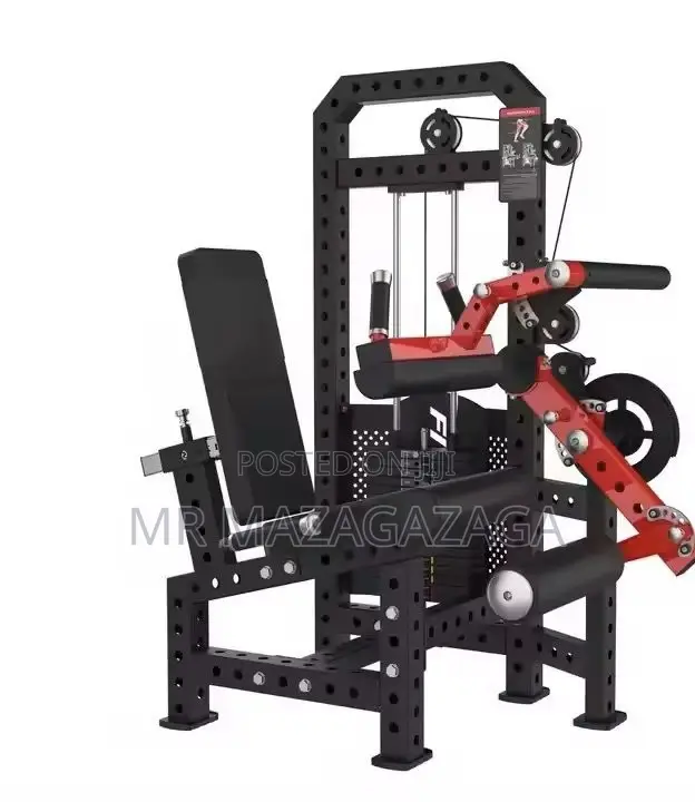 Leg Extensions Curl 2in 1