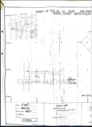 A Very Nice Plot for Sale at Gezaulole