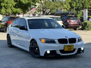 BMW 3 Series 2010 White