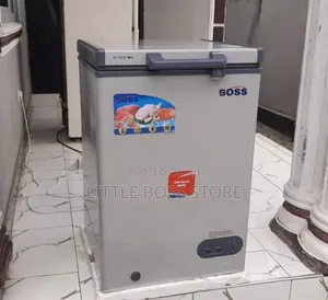 Boss Freezer 100 L (Mini /Freezer Dogo)