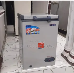 Boss Freezer 100 L (Mini /Freezer Dogo)