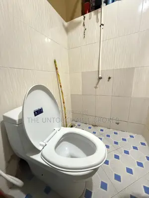1bdrm House in Mikocheni B for rent