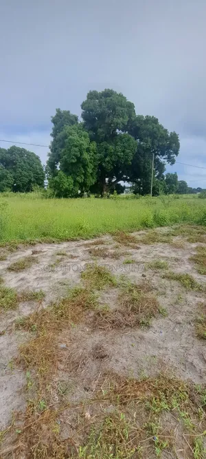 9.27 Acres of Land for Sale at Kiromo Bagamoyo