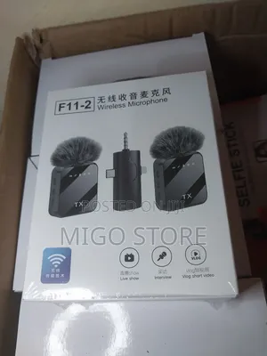Wireless Microphone