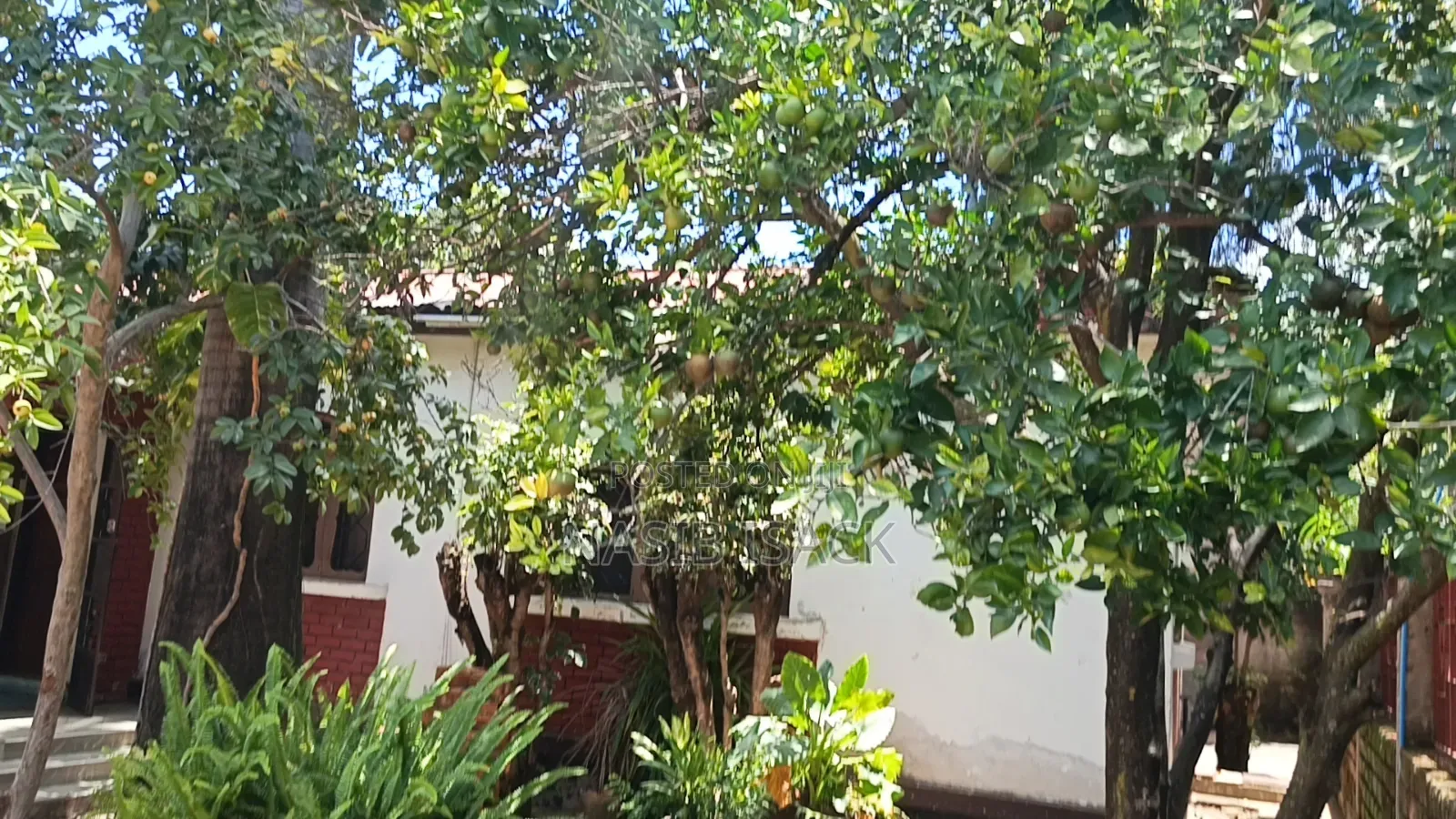 Furnished 3bdrm House in Mkolani for sale