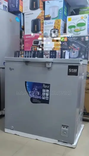 200 Liter Roch Chest Freezer