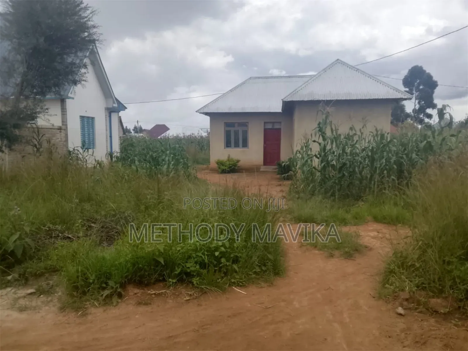 2bdrm House in Majengo Mapya Street, Ifunda for rent
