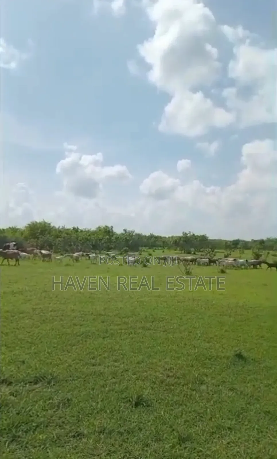 Shamba La Ekari 300 Linauzwa Msoga Bagamoyo