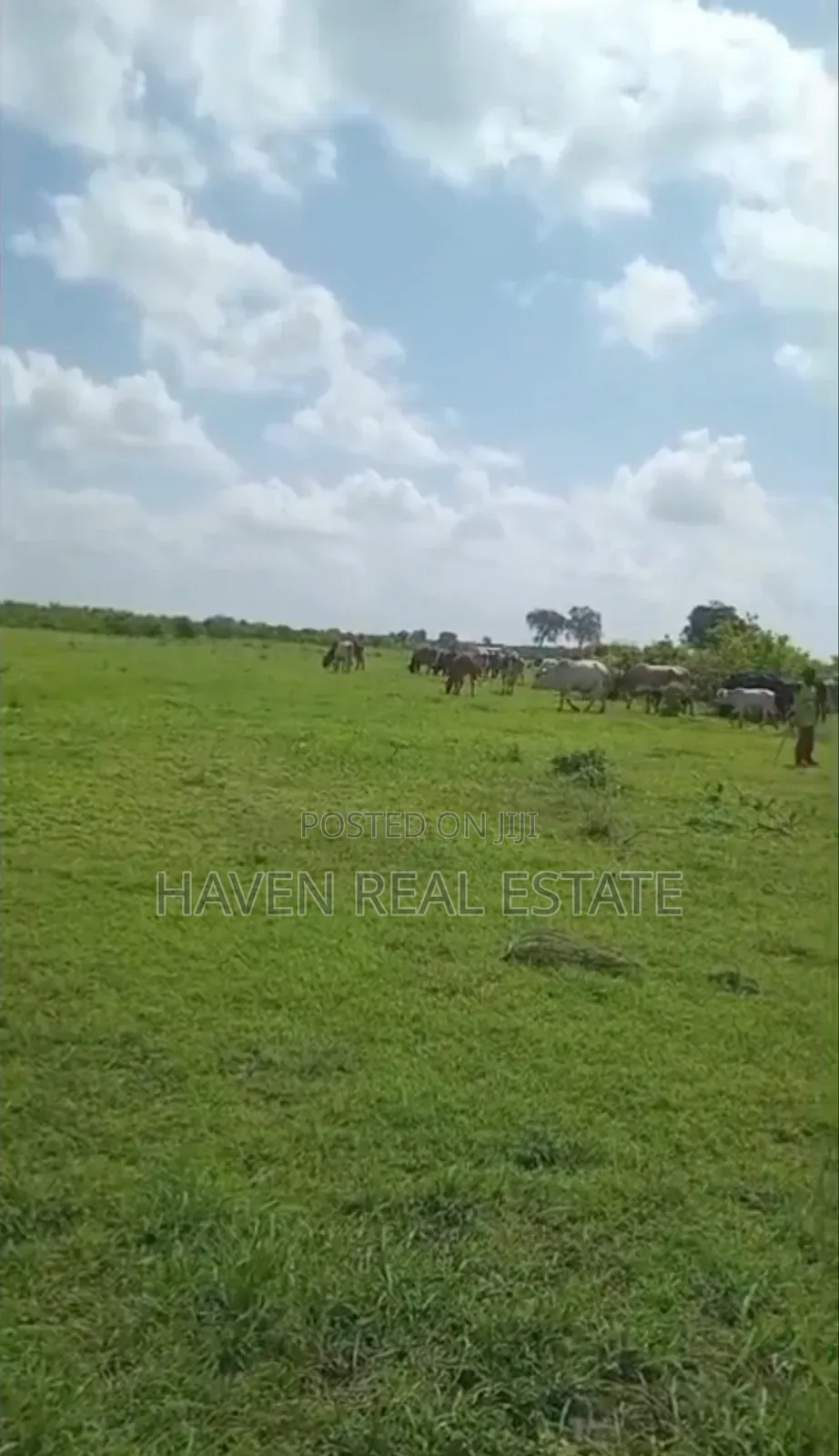 Shamba La Ekari 300 Linauzwa Msoga Bagamoyo