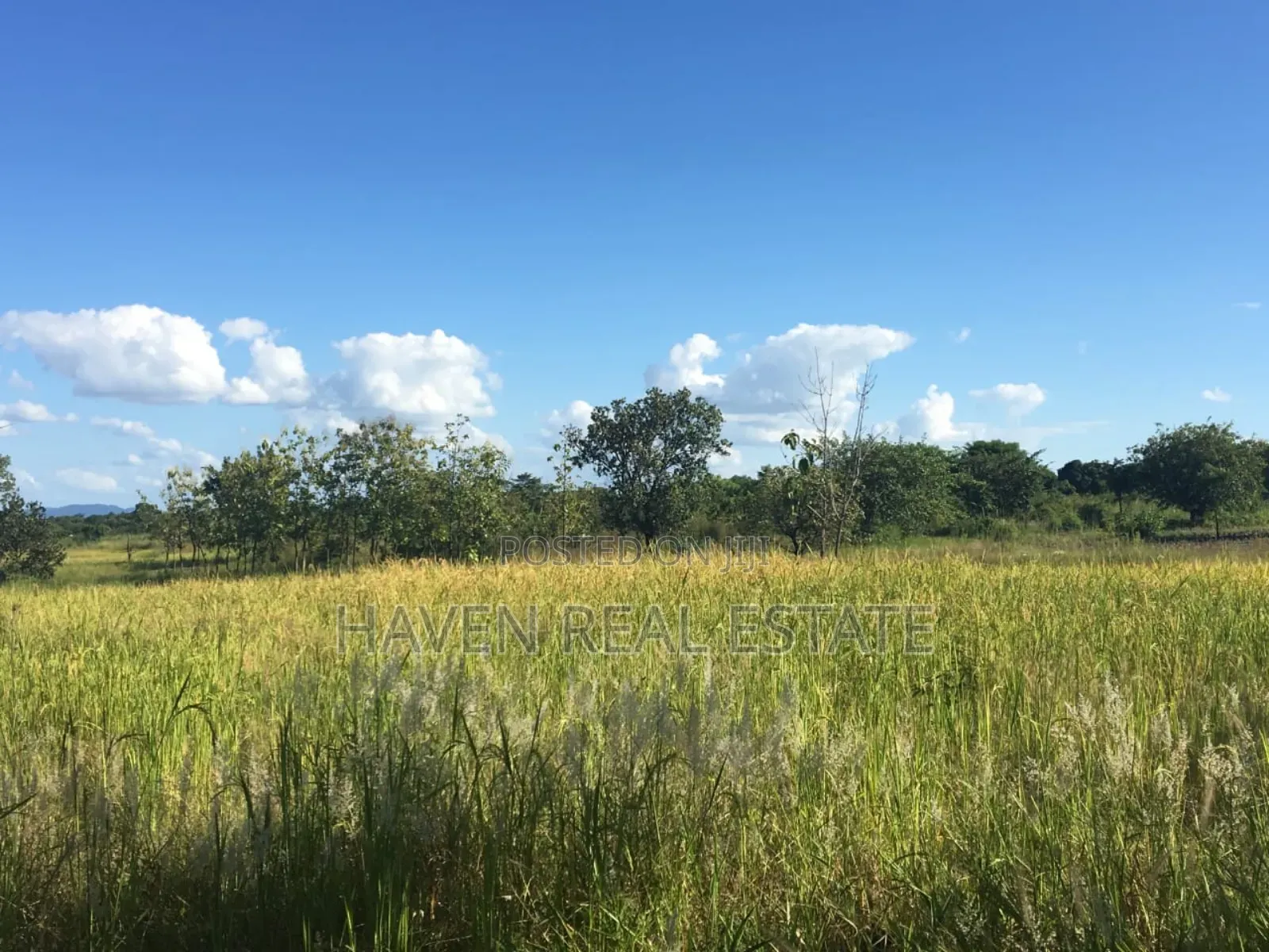 Shamba La Ekari 374 Linauzwa Ifakara Morogoro