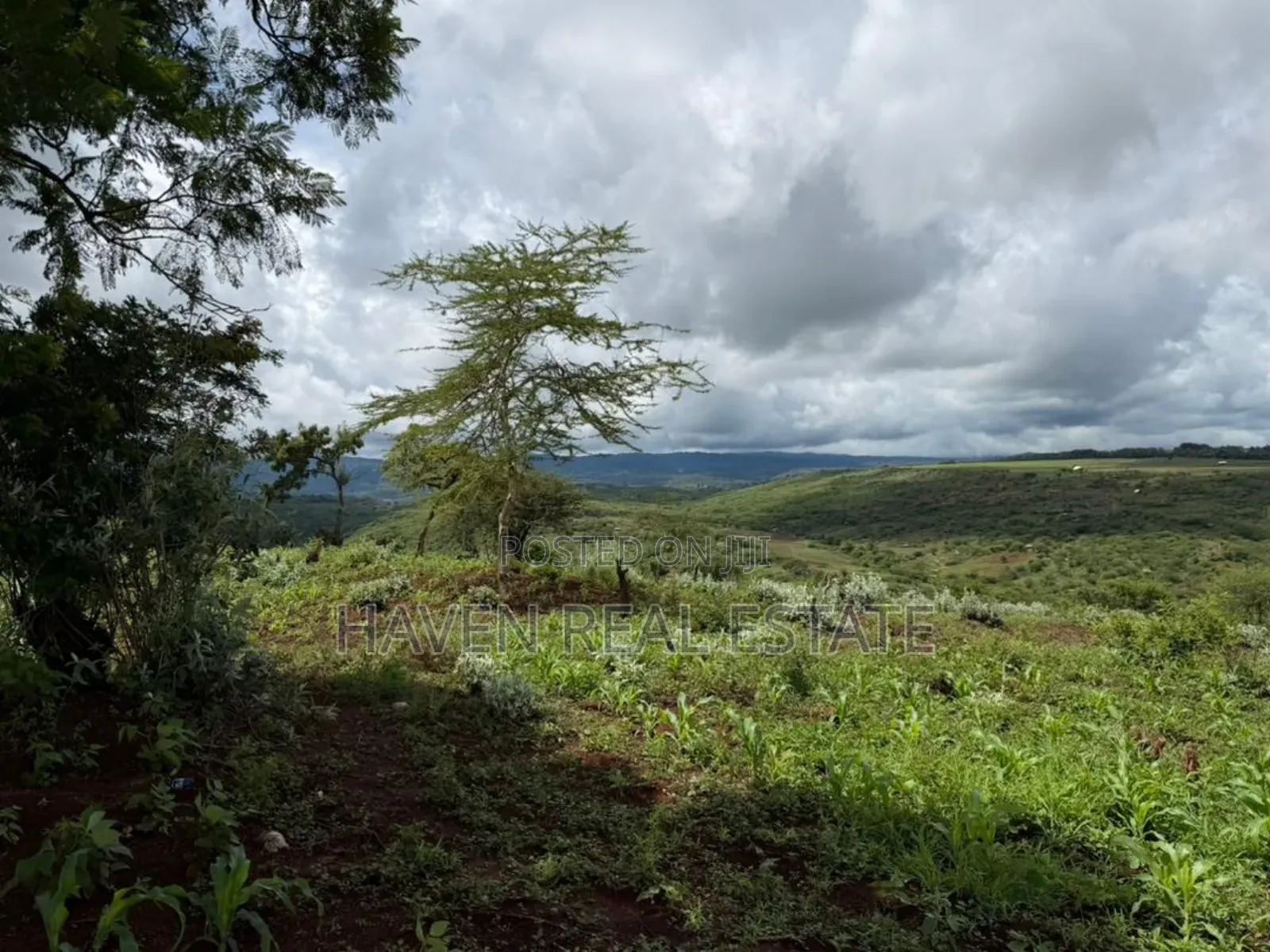 20 Acre For Investment In Karatu – Overlooking Ngorongoro Rim*