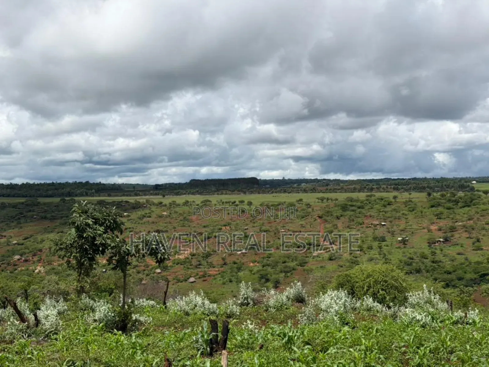 20 Acre For Investment In Karatu – Overlooking Ngorongoro Rim*