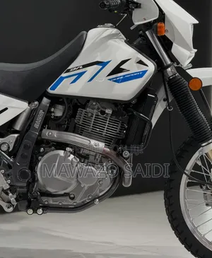 Suzuki 2022 White