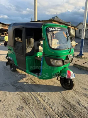 New Bajaj Avenger 200 2025 Blue