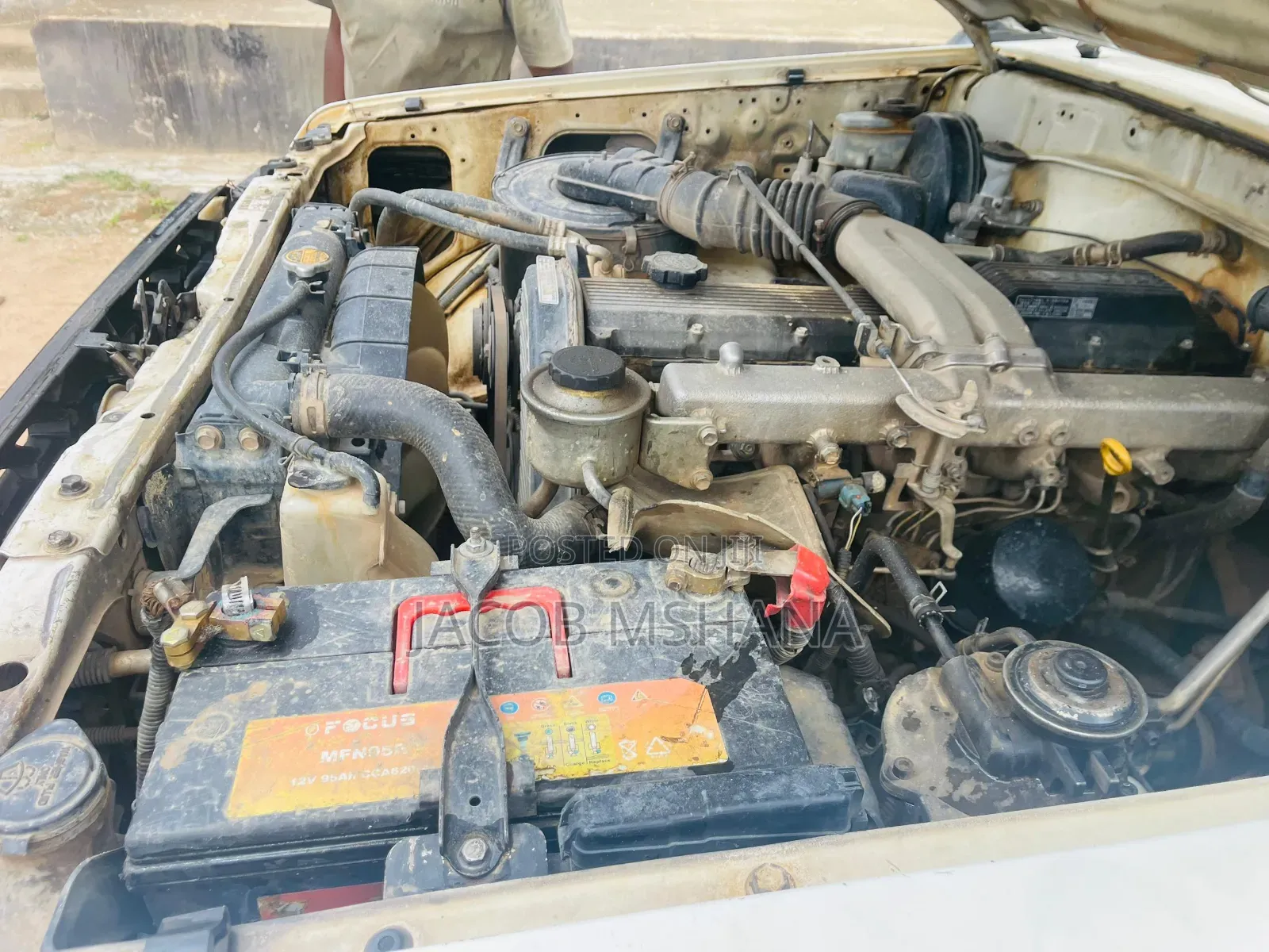 Toyota Land Cruiser 1999 White