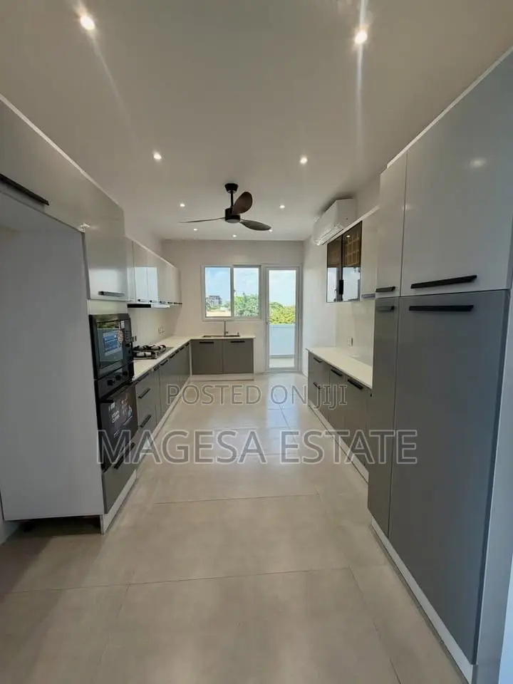 Furnished 3bdrm Apartment in Masaki for rent