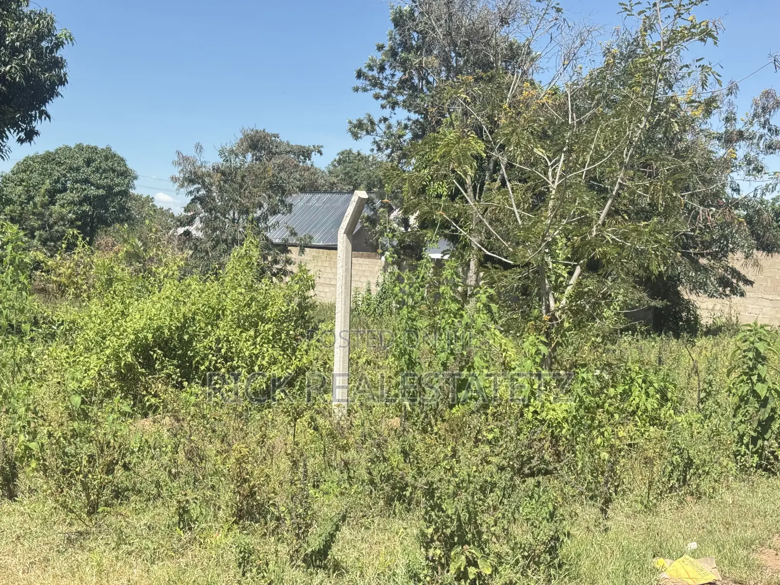 Kiwanja Kinauzwa Buhongwa
