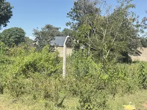 Kiwanja Kinauzwa Buhongwa