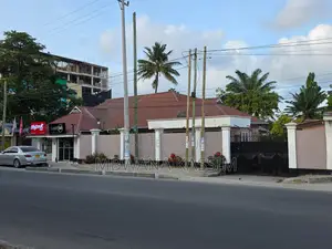 Prime Commercial / Investment Property for Sale – Mwenge (Tra Road)
