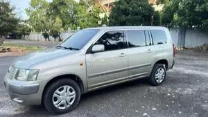 Toyota Succeed 2004 Silver