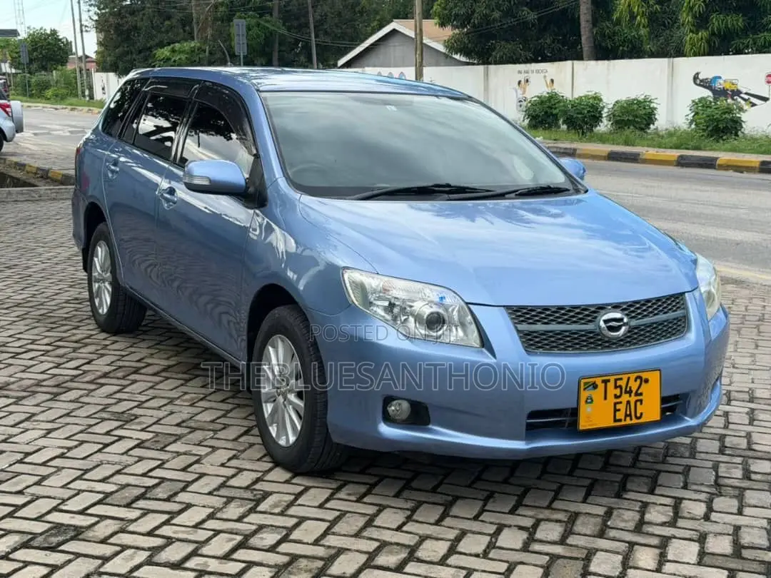 Toyota Corolla Fielder 2007 Blue