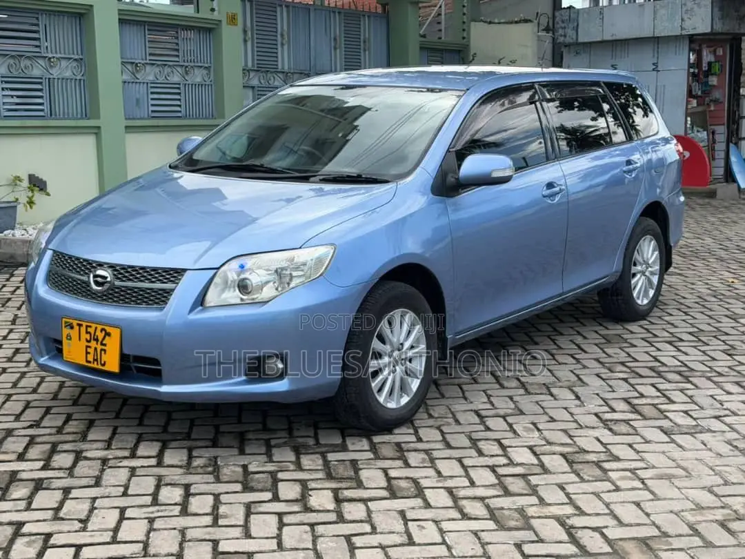 Toyota Corolla Fielder 2007 Blue