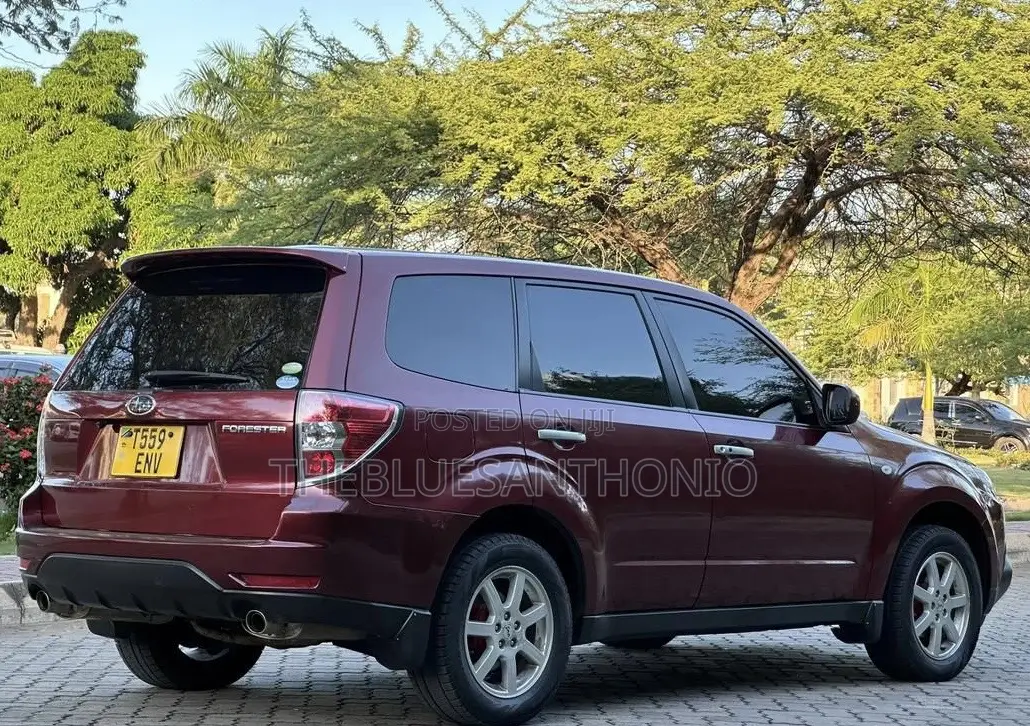 Subaru Forester 2009 Maroon