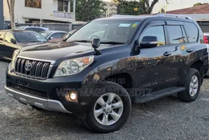 Toyota Land Cruiser Prado 2009 Gray