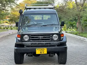 Toyota Land Cruiser 1986 Gray