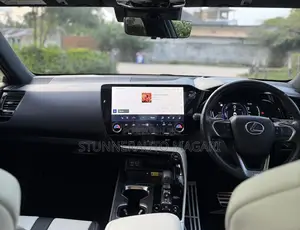 Lexus NX 2024 Gray