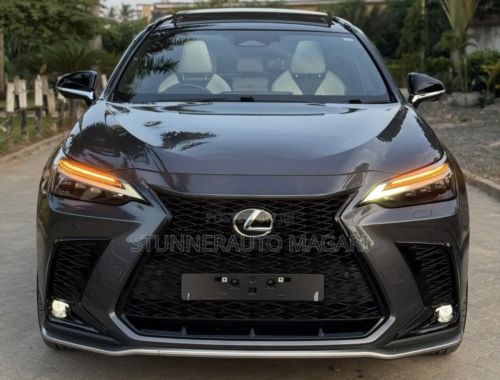 Lexus NX 2024 Gray