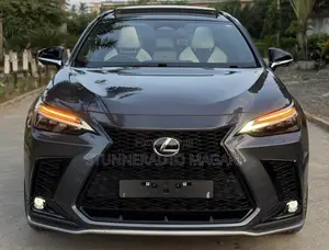 Lexus NX 2024 Gray