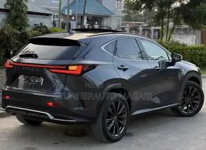 Lexus NX 2024 Gray