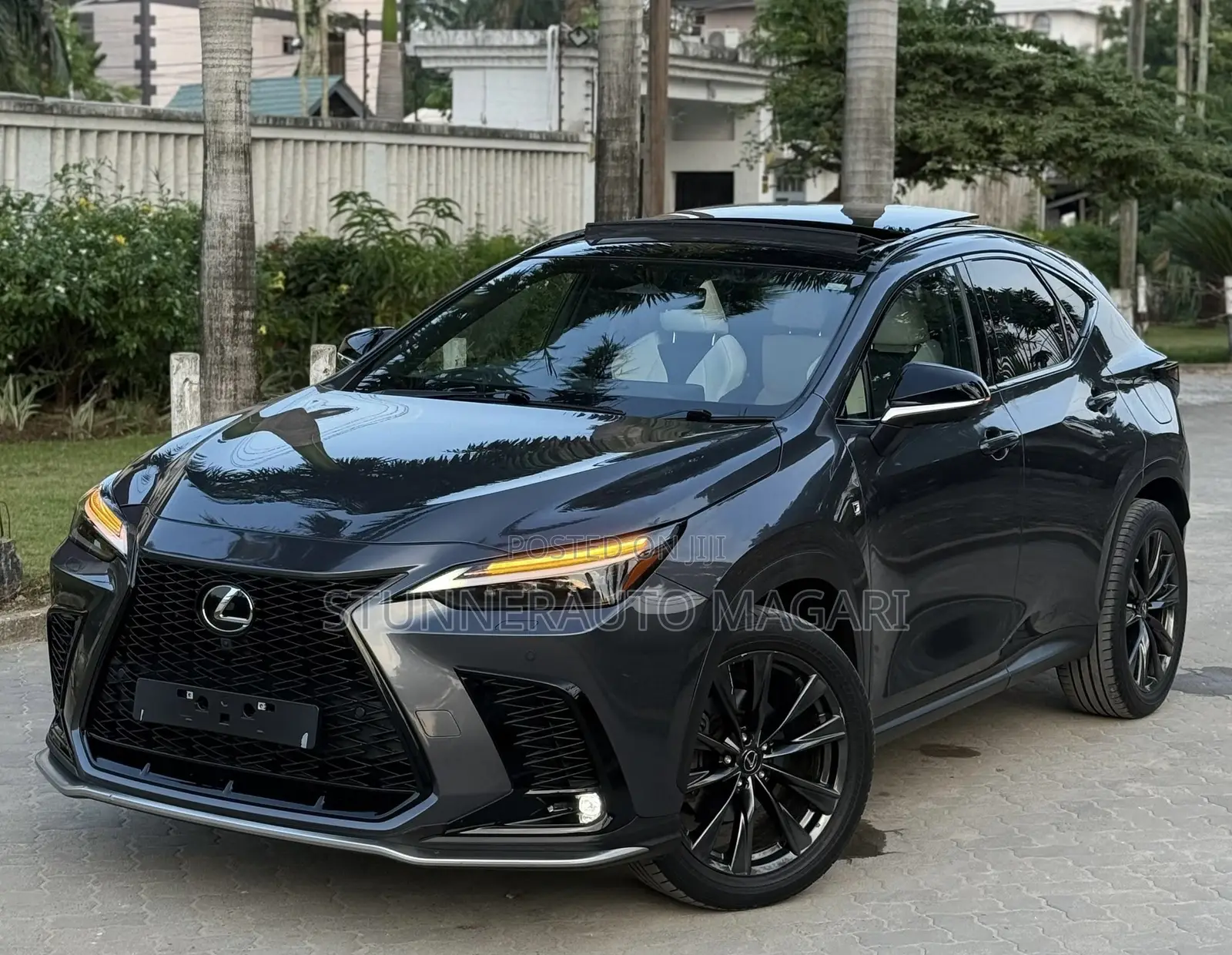 Lexus NX 2024 Gray