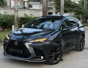 Lexus NX 2024 Gray
