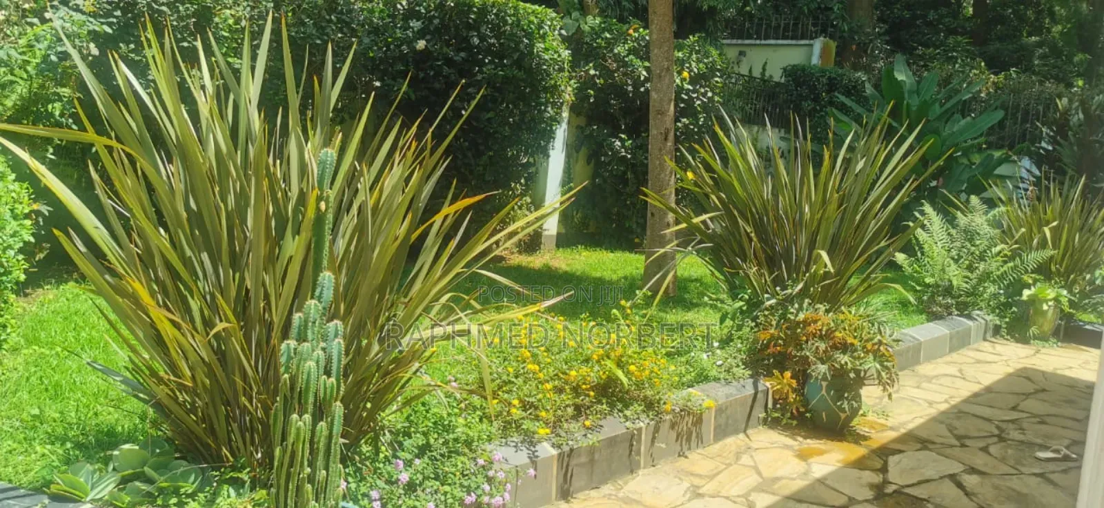 3bdrm House in Tanzania Realestates, Njiro for rent