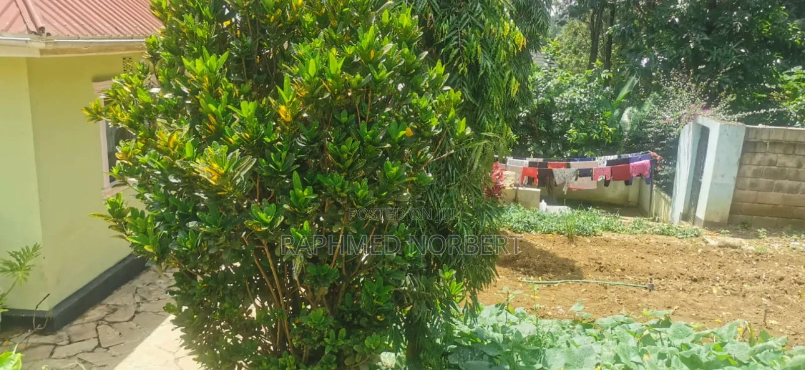 3bdrm House in Tanzania Realestates, Njiro for rent