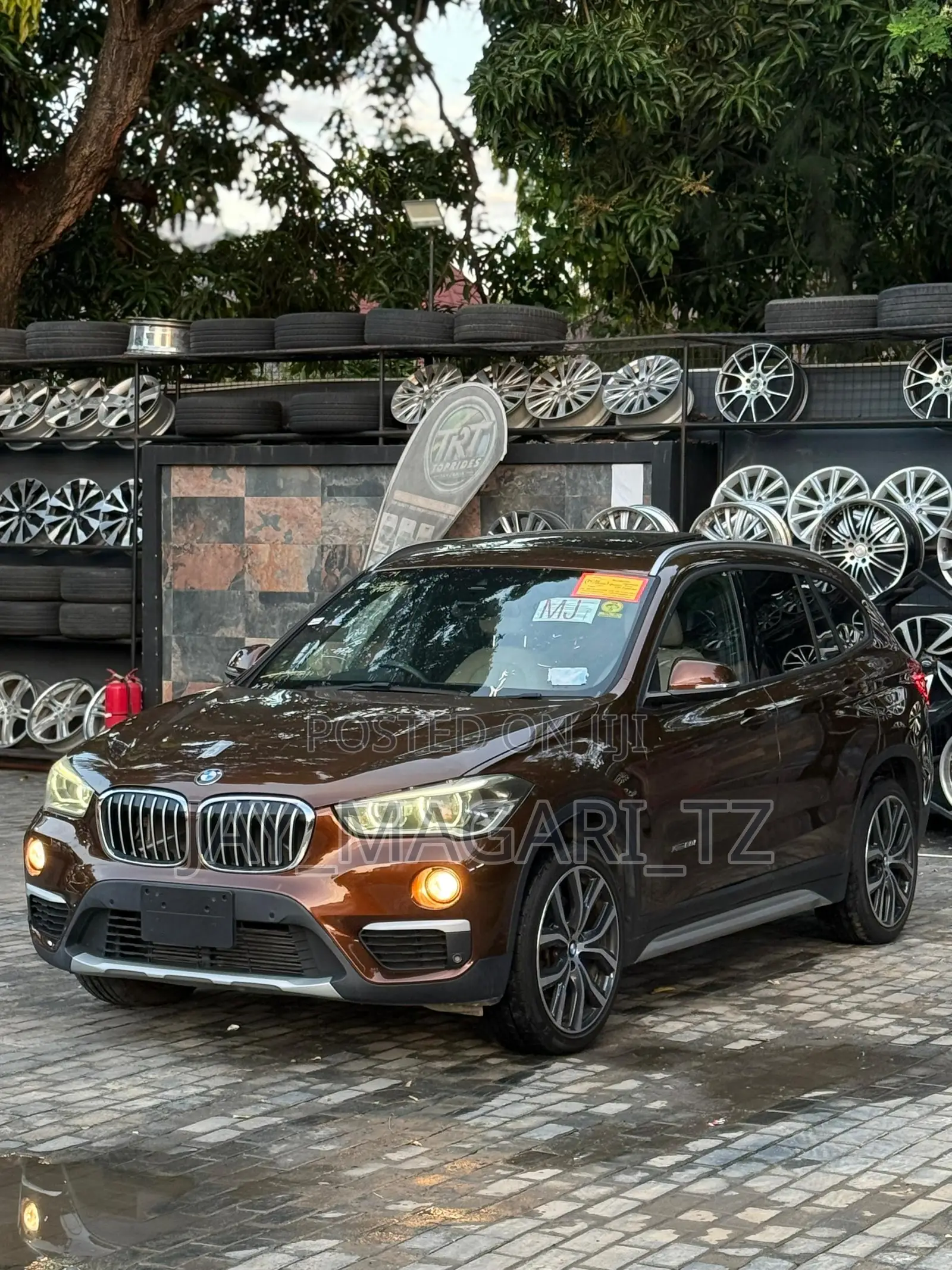 BMW X1 2017 Brown