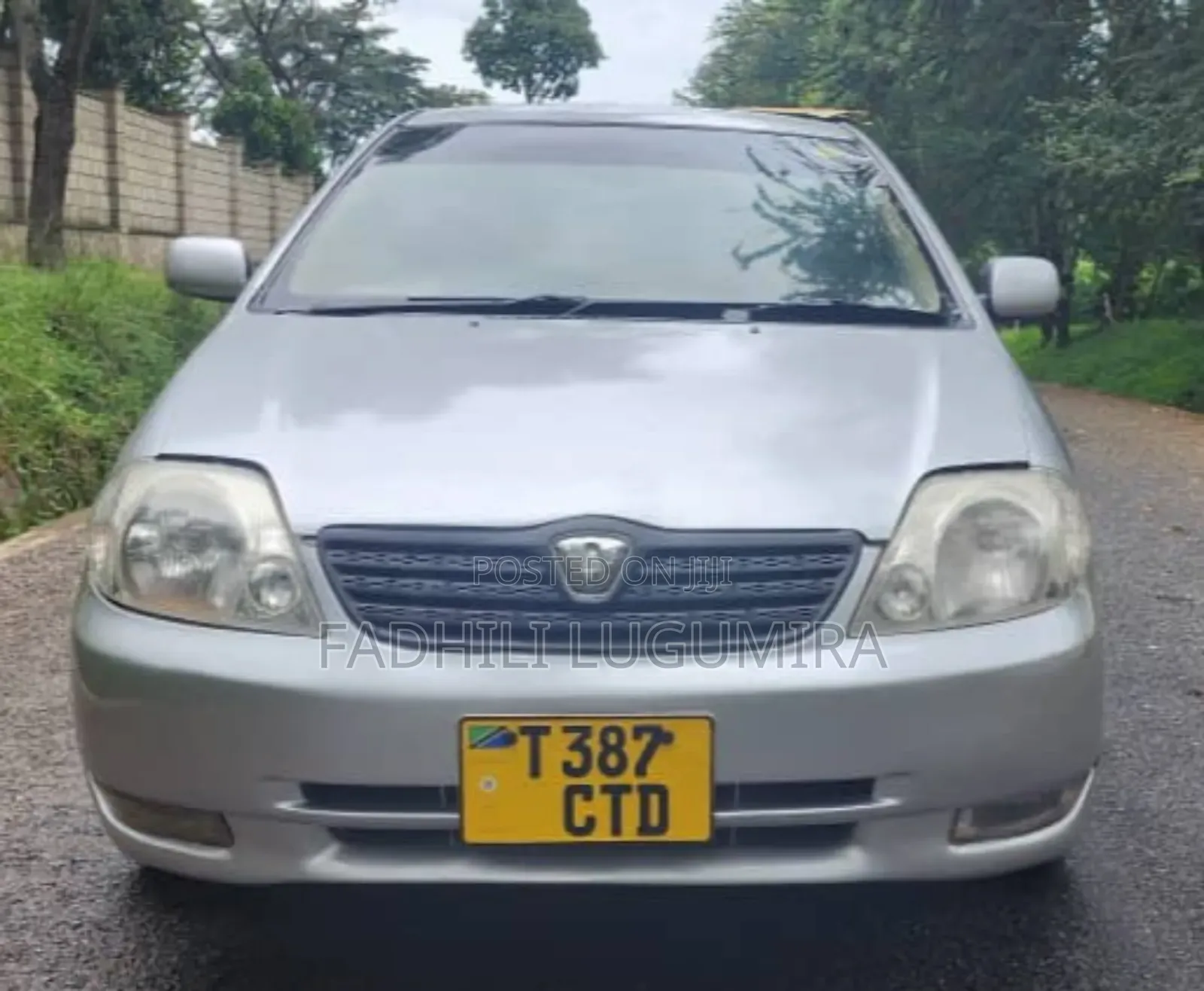 Toyota Allex 2003 Green