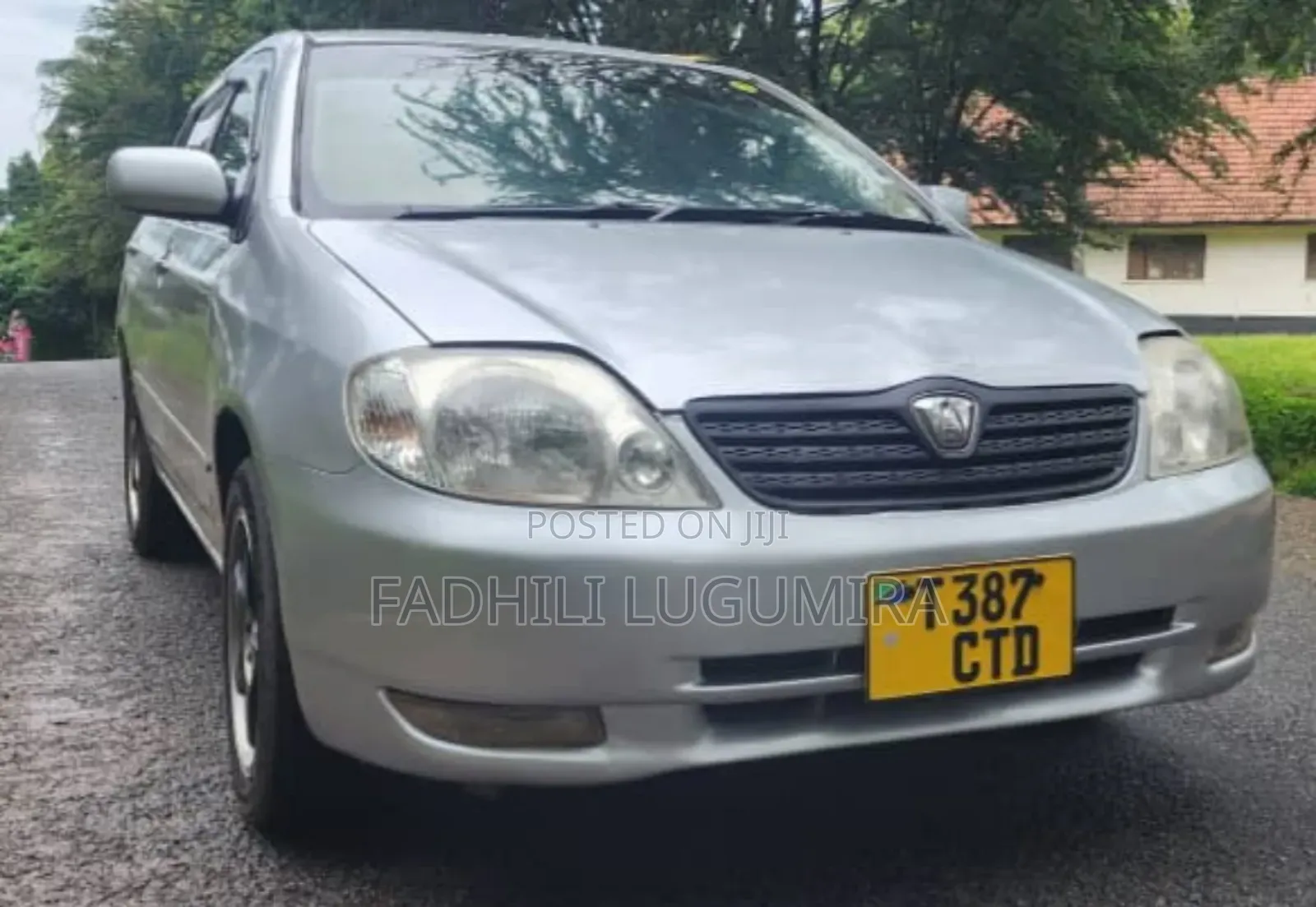 Toyota Allex 2003 Green