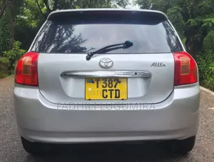 Toyota Allex 2003 Green