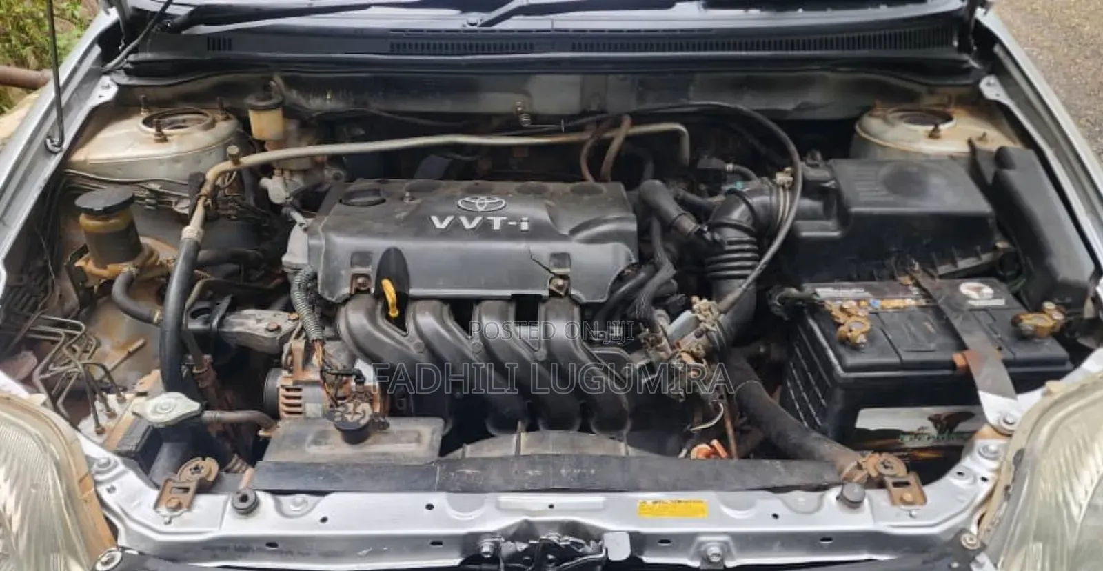 Toyota Allex 2003 Green