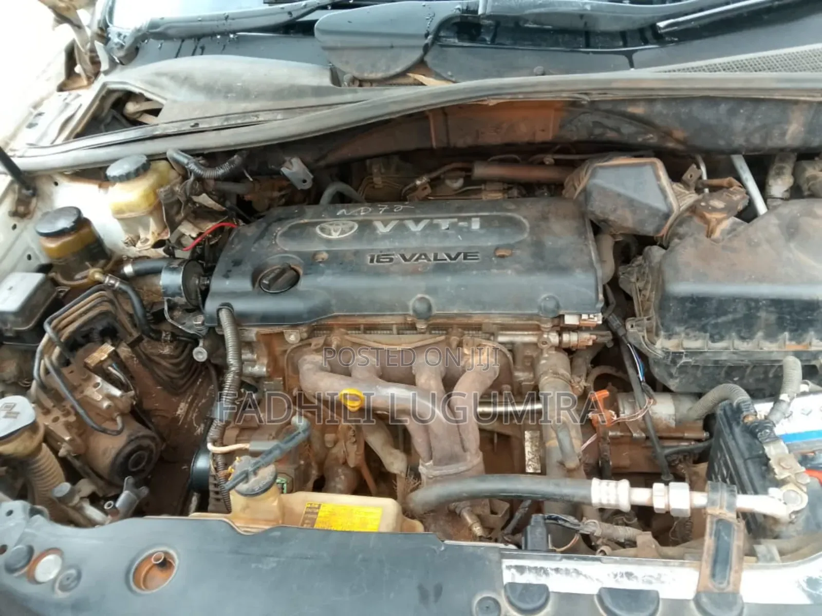 Toyota Harrier 2004 White