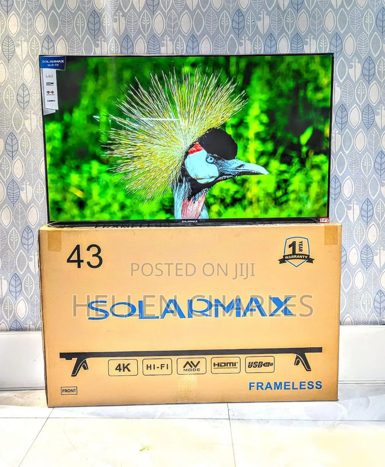 Solar Max Inchi 43