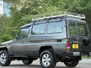 Toyota Land Cruiser 1996 Gray