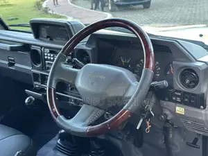 Toyota Land Cruiser 1996 Gray