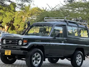 Toyota Land Cruiser 1996 Gray