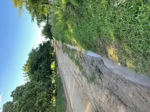 Eneo La Kibiashara Linauzwa Kigamboni
