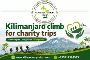 Kilimanjaro Climb for Charity Trips – Affordable Well Organized